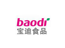 宝迪集团